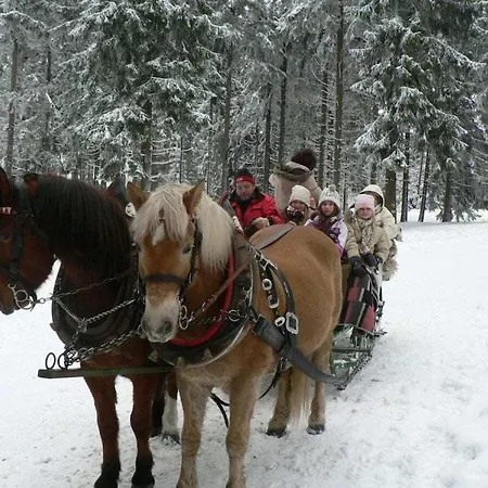 Type C Comfortable بيت للعطل Grossbreitenbach