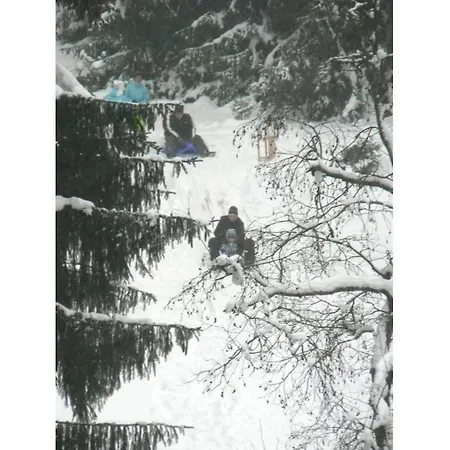 Type C Comfortable * Grossbreitenbach