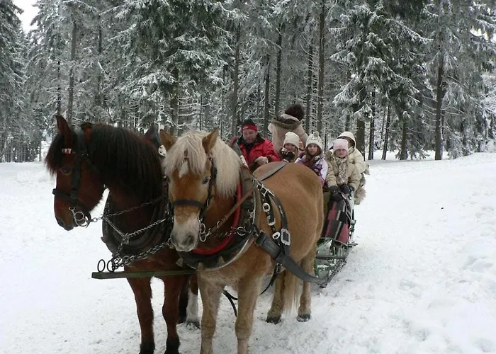 Type C Comfortable Tatil Evi Grossbreitenbach