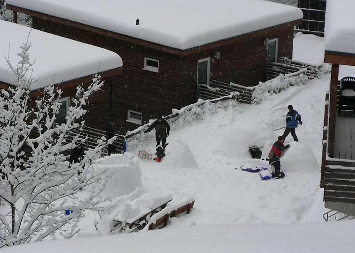 Type C Comfortable Grossbreitenbach