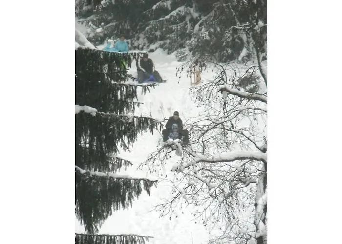 Type C Comfortable * Grossbreitenbach