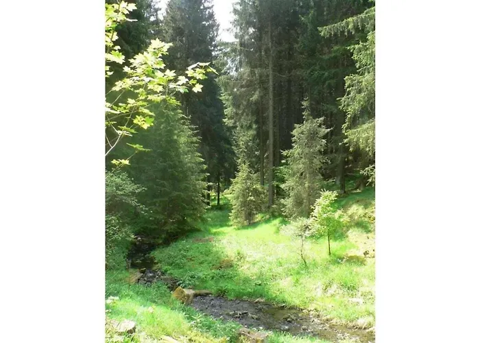 Type C Comfortable Tatil Evi Grossbreitenbach