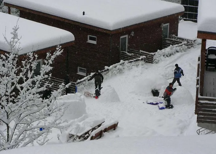 Type C Comfortable * Grossbreitenbach